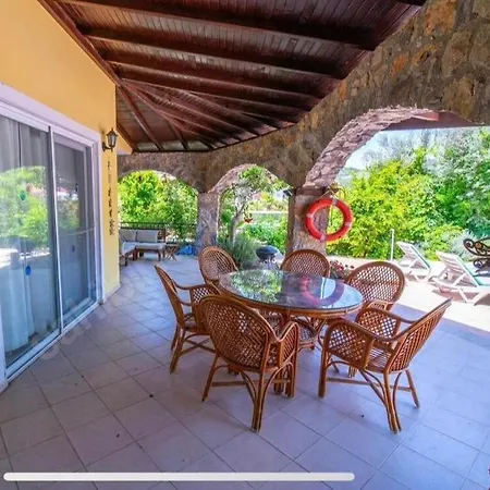 Allora * フェティエ